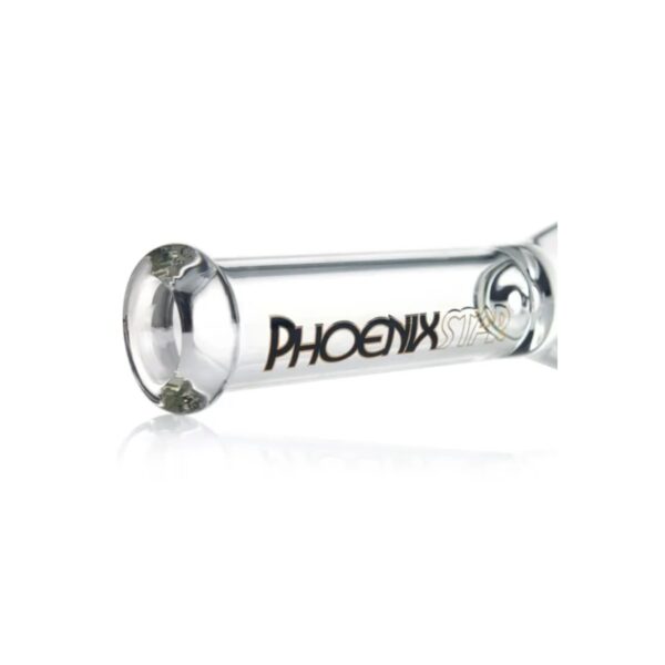 Bong-Beaker-Phoenix-Star-25-cm-PHX96-Negro-1